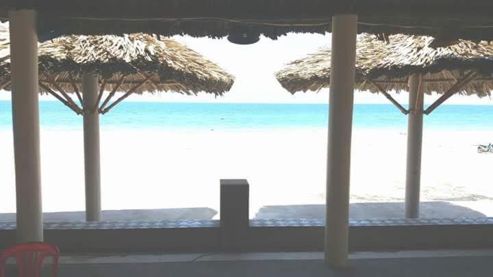 Suoi Nuoc Resort Mũi Né Eksteriør billede