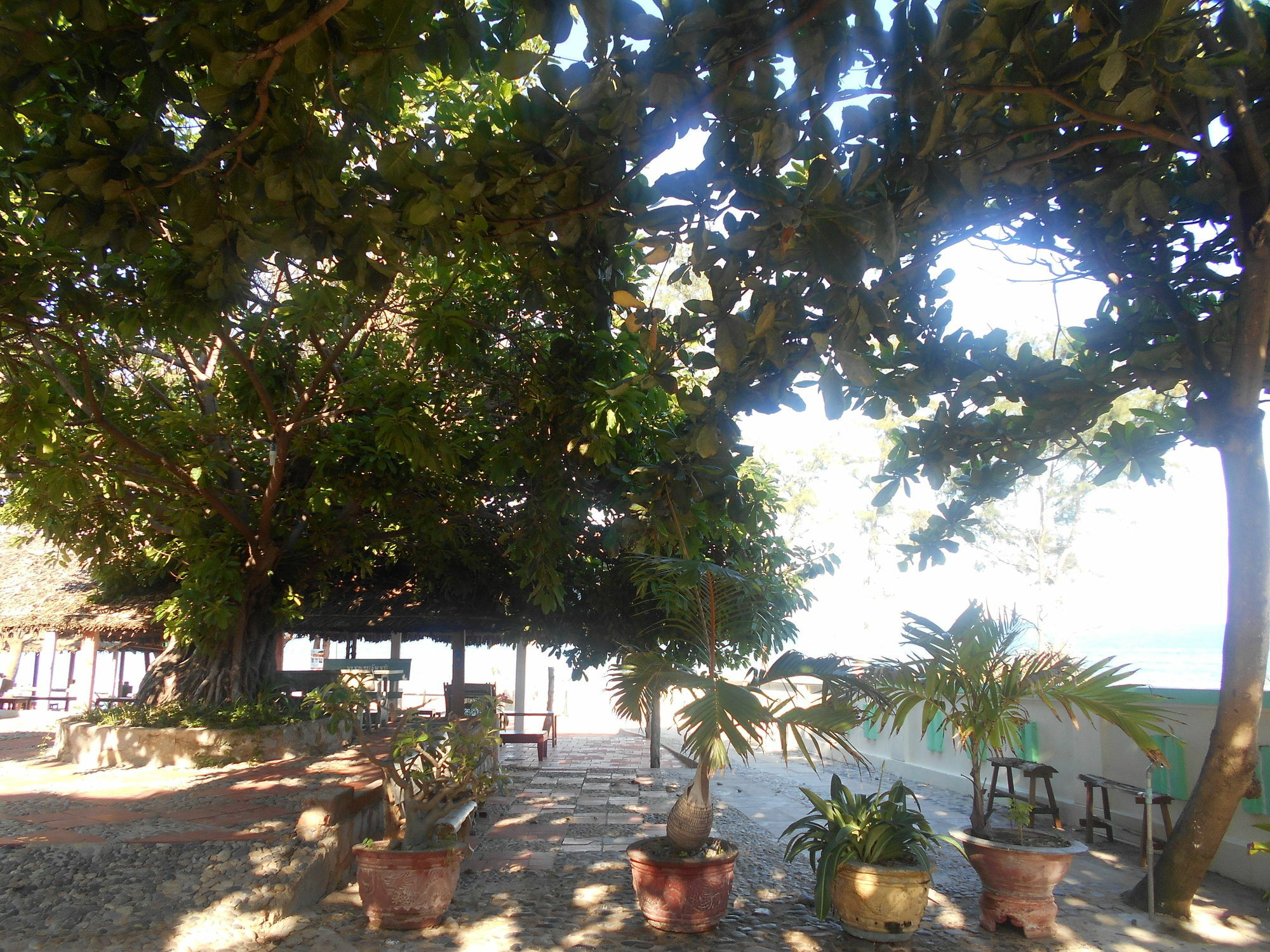 Suoi Nuoc Resort Mũi Né Eksteriør billede