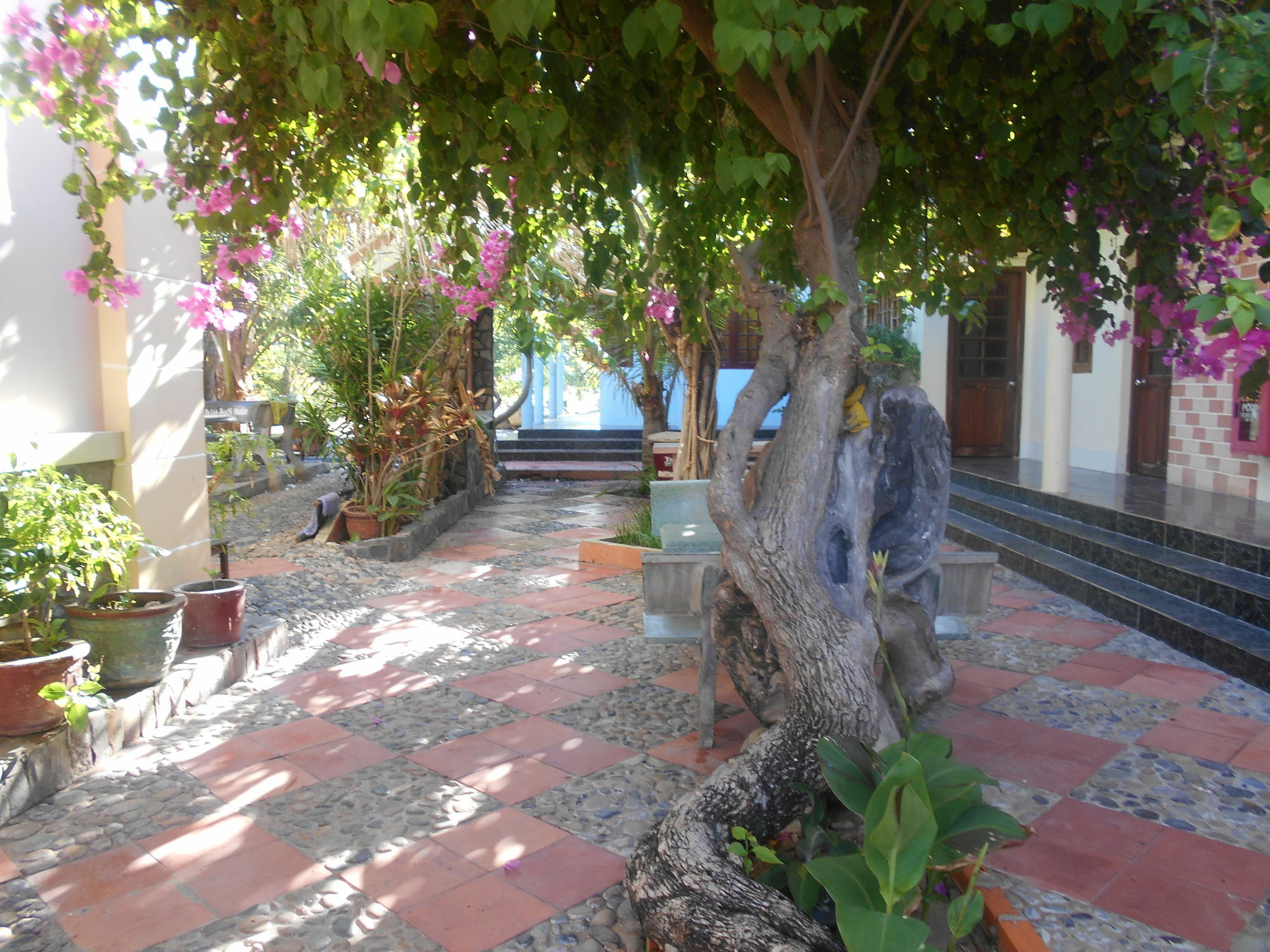 Suoi Nuoc Resort Mũi Né Eksteriør billede